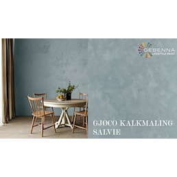 SALVIE KALKMALING.jpg